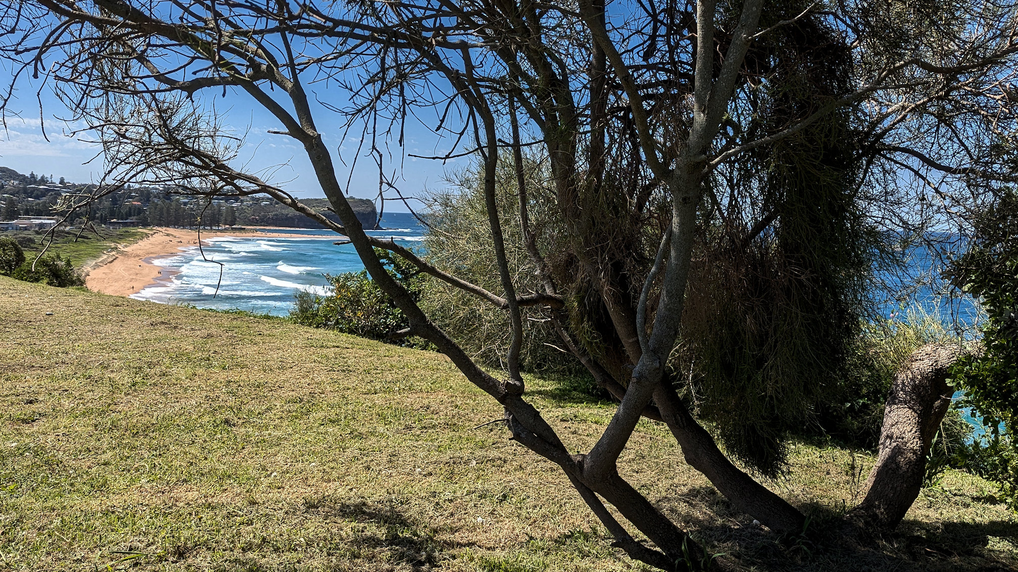 mona_vale6